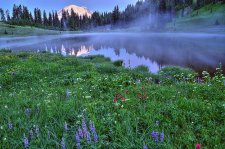 Mt. Rainier