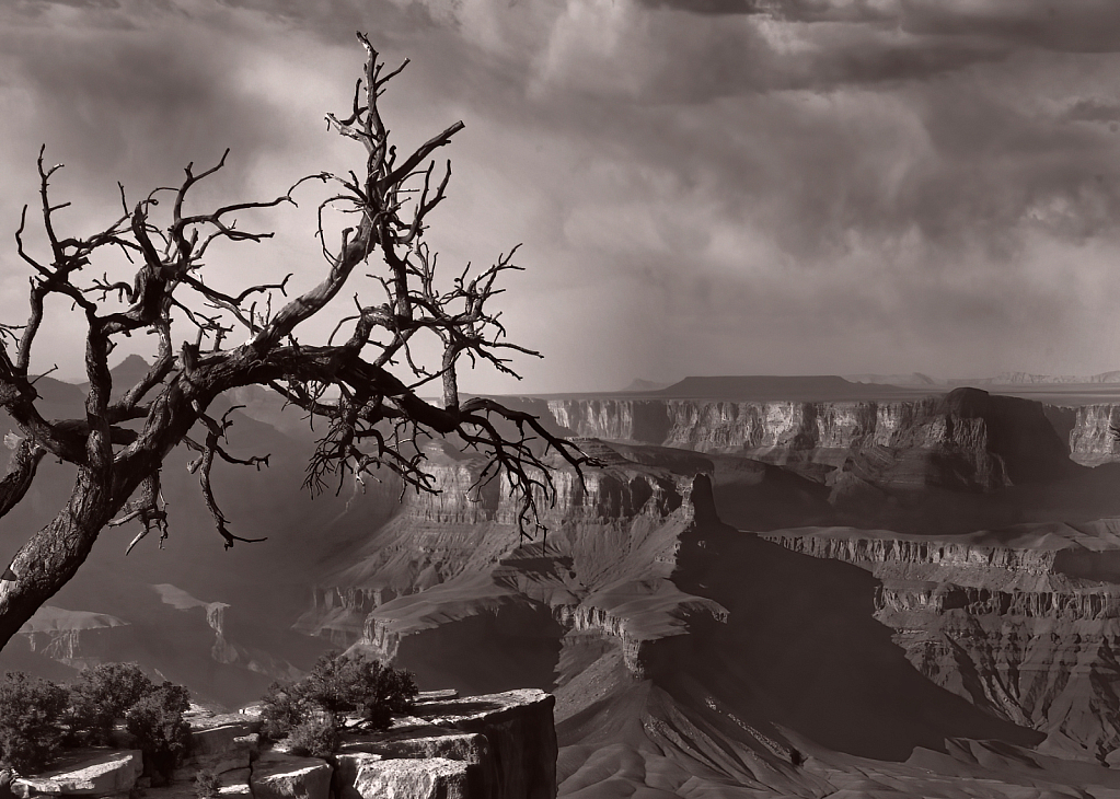 Canyon in Black and White