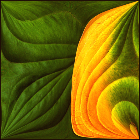 Green and Yellow Abstract