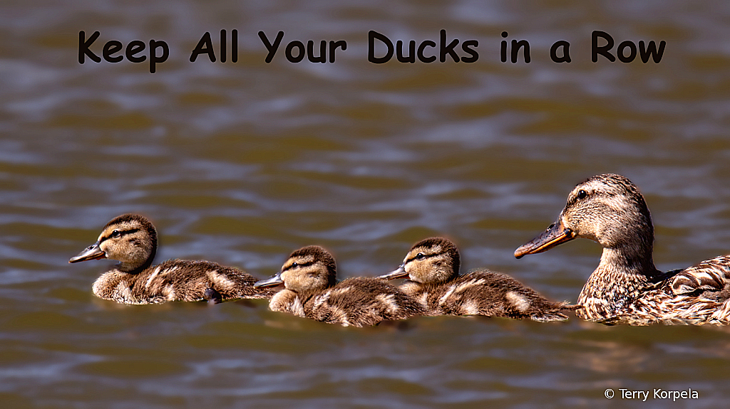 Keep All of Your Ducks in a Row!!