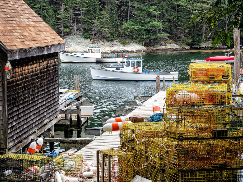 Back Cove Dock