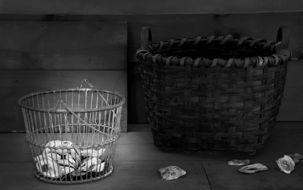 Oyster Shells and Baskets