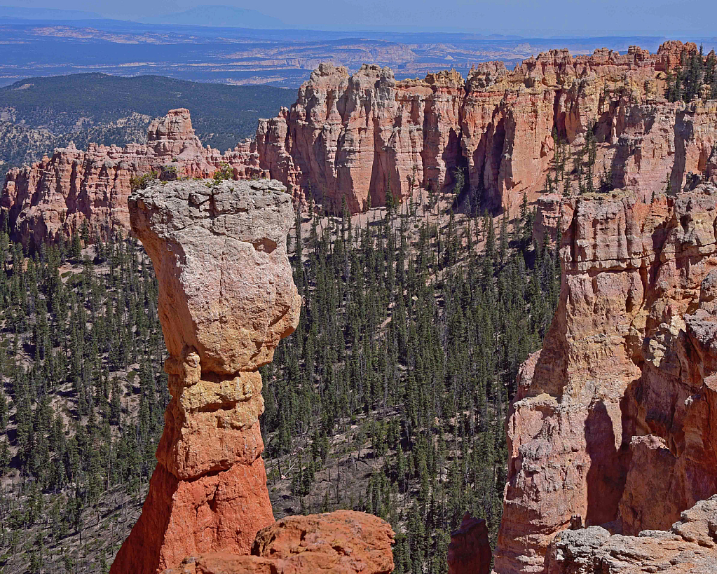 Portrait Rock - ID: 15950839 © William S. Briggs