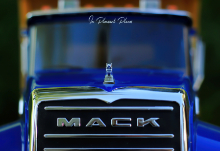 Mack Dog