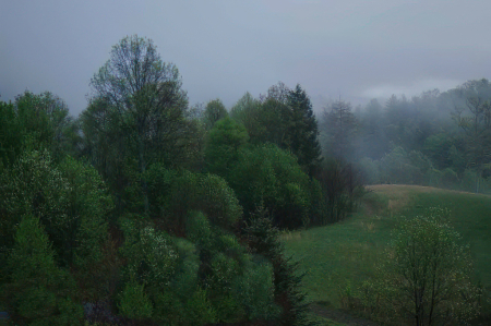 Misty Spring Morning