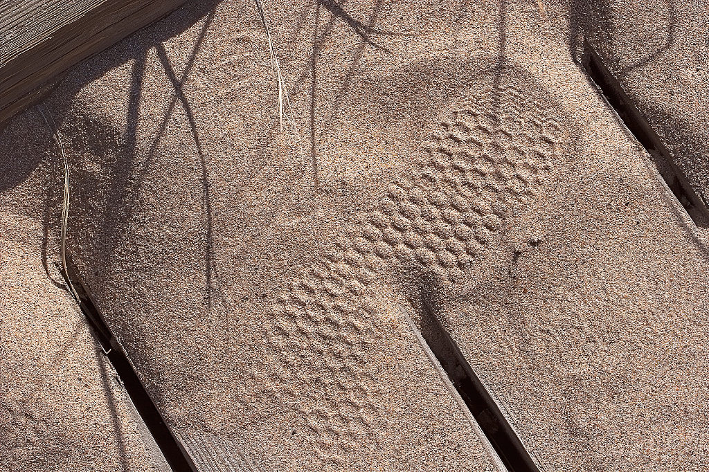 Footprints in the Sand