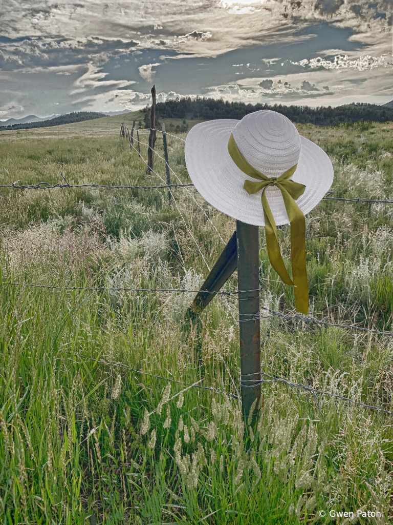 Hat on pole