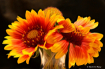 Stacked Flower Ar...