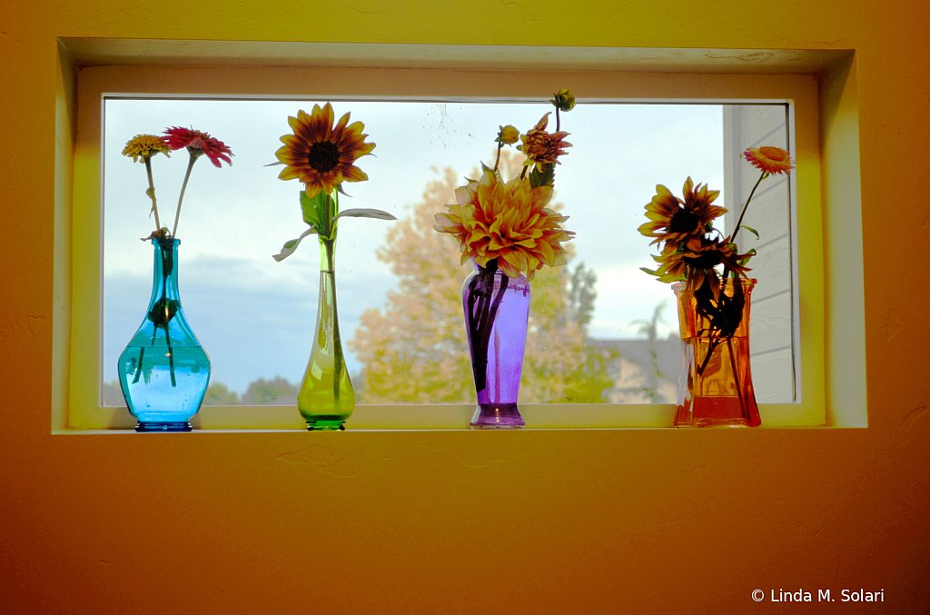 Colored Vases 