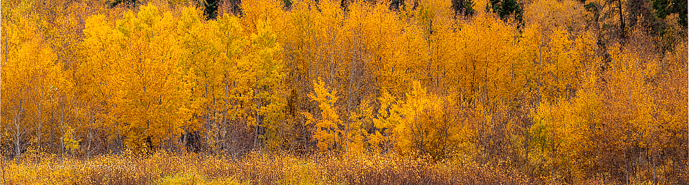Autumn Panoramic - ID: 15952295 © Jim D. Knelson