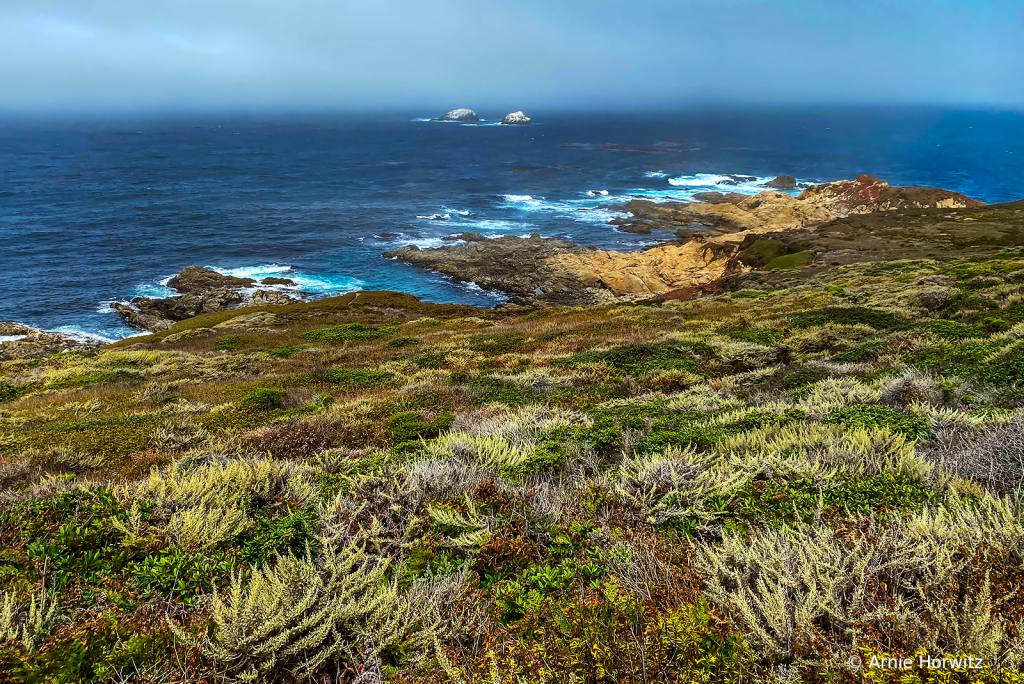 Big Sur Vista - Garrapata State Park - III