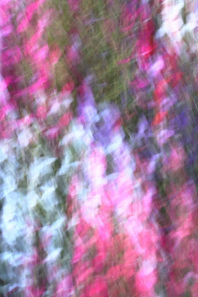 img2