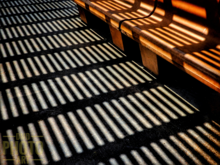 ~ ~ BENCH AND LINES ~ ~ 