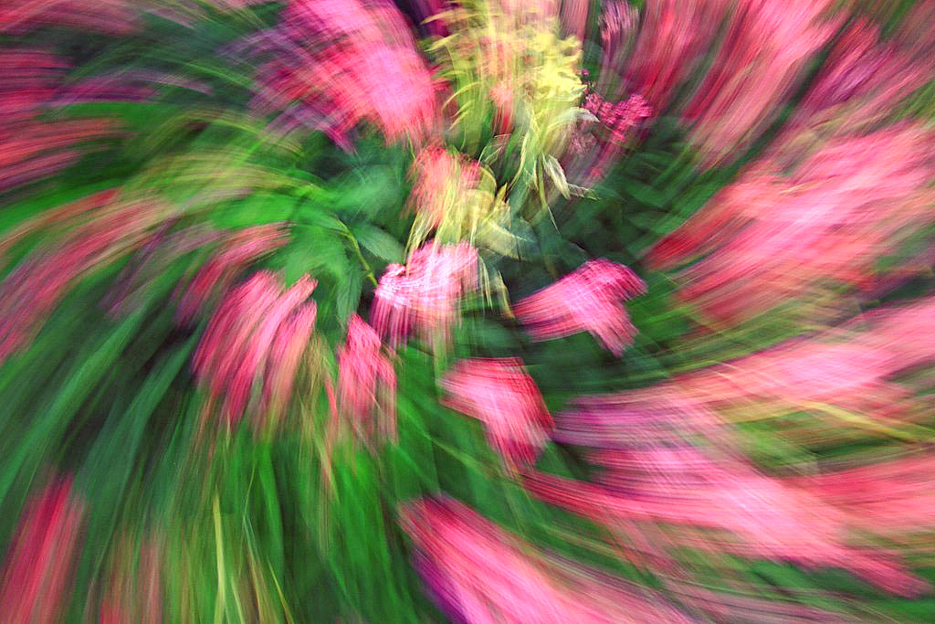 img9