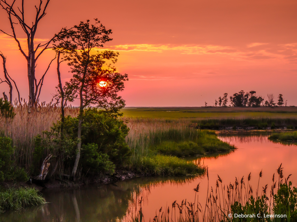 Sunrise at Bombay Hook