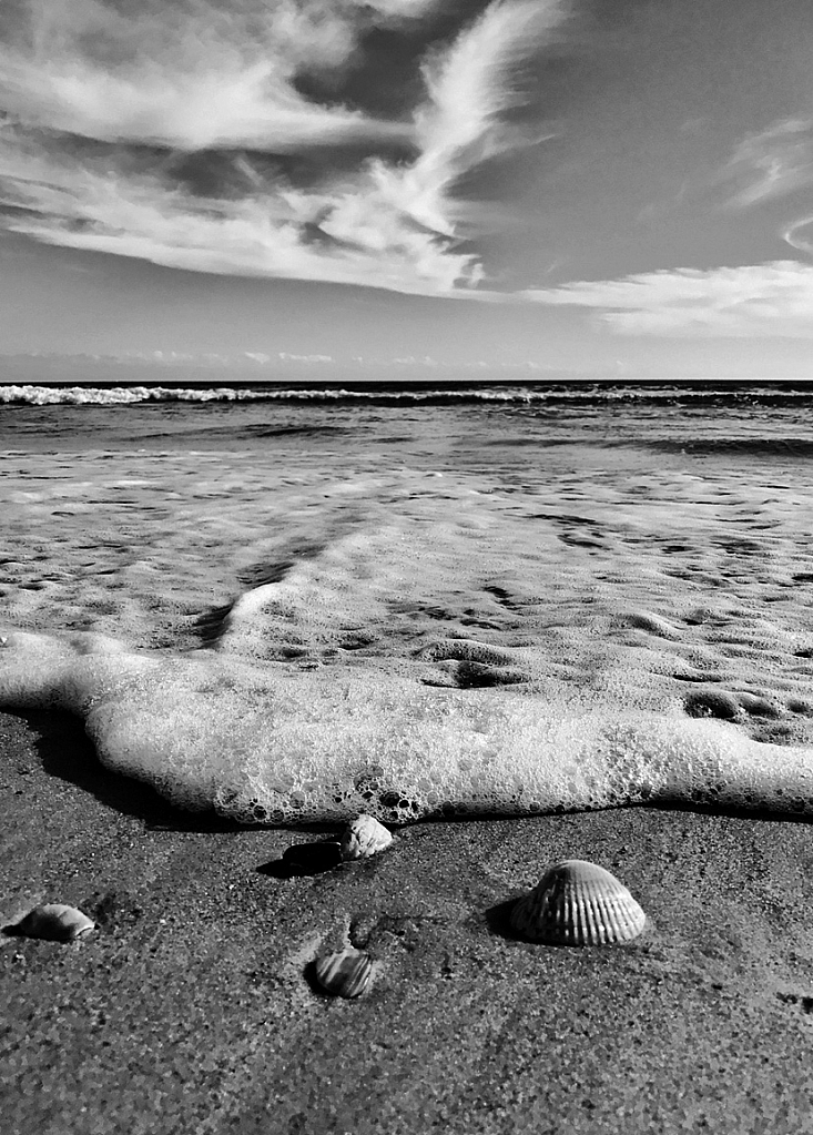 Surf, Shells, and Swirl