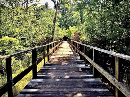 Wooden bridge 