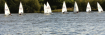 Sailing to win! 