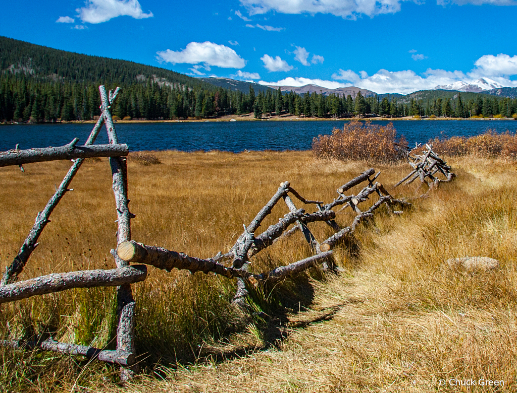 Fence Line