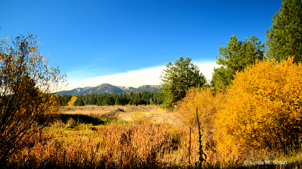 Fall In Cascade Idaho