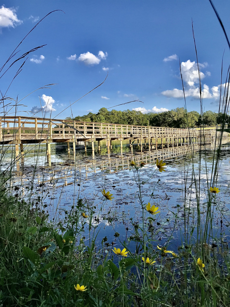 Lake Frank Jackson, Walking bridge - ID: 15953147 © Elizabeth A. Marker