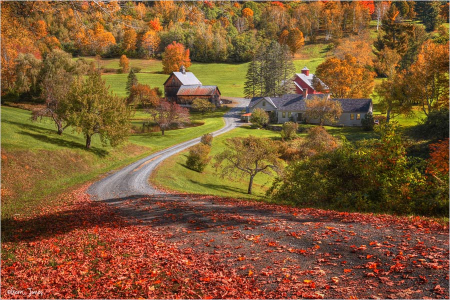 Sleepy Hollow Farm