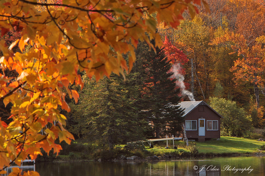 Little House on the Pond