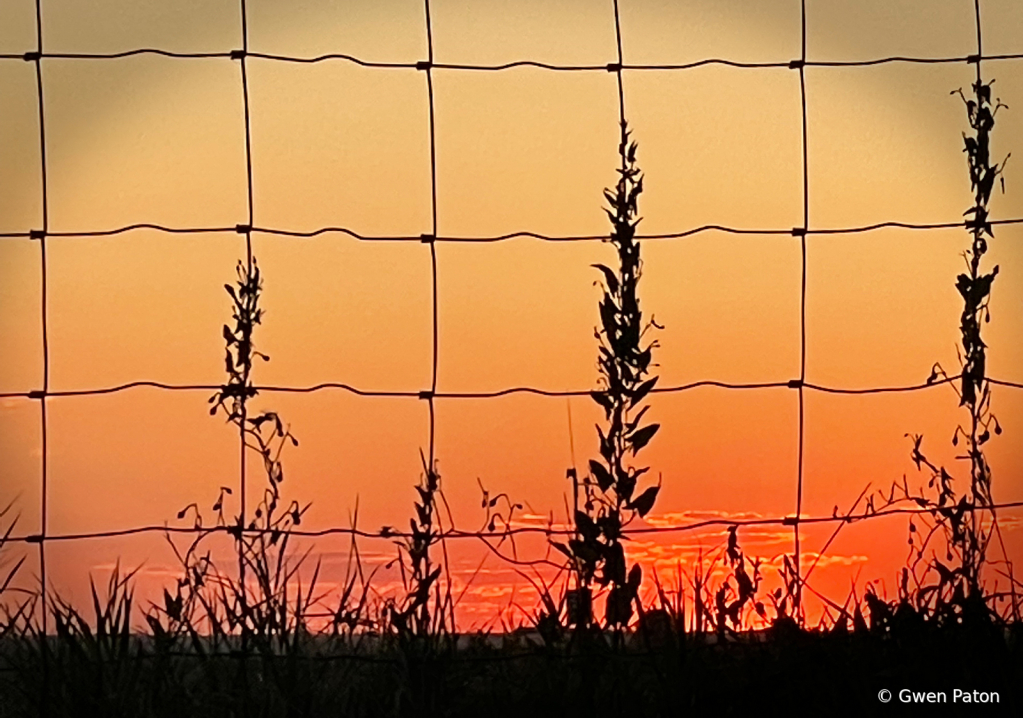 Sunset through the Fence