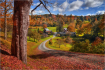 Vermont In Autumn
