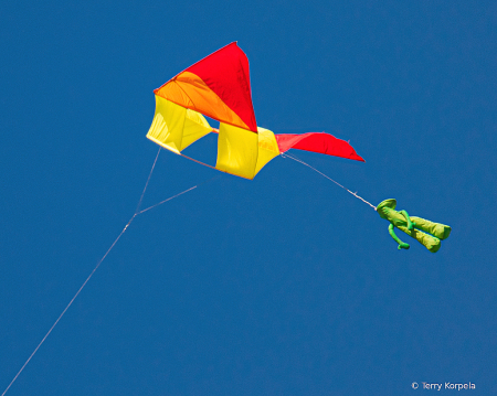 Kite Flying at the Marina