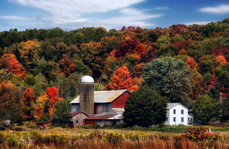 Autumn in Amish Country