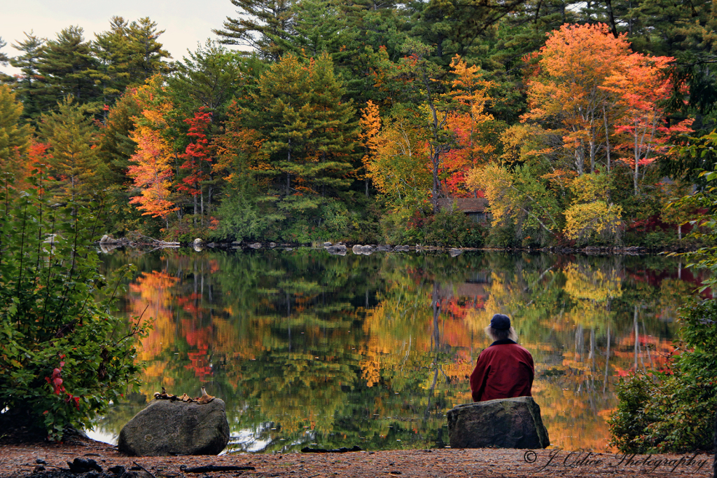 Moose Pond Reflections