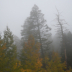 © Jim Klages PhotoID # 15954110: Wet Mountains Fall Scenery Shrouded in Fog