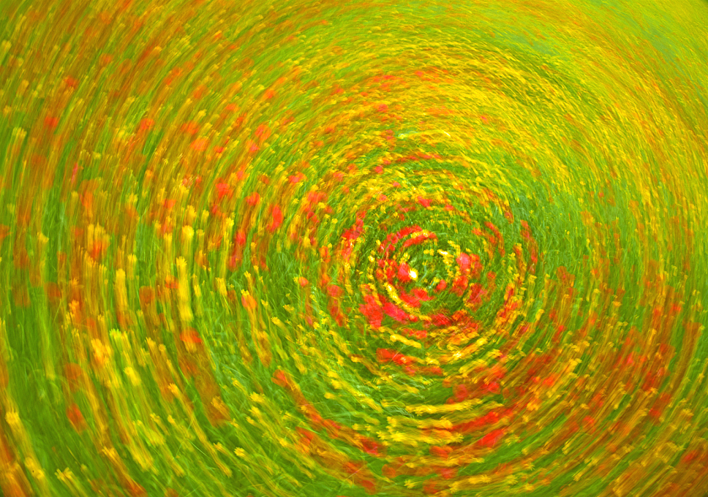 img8