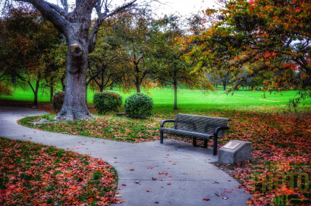 ~ ~ BENCH AT FALL ~ ~ 