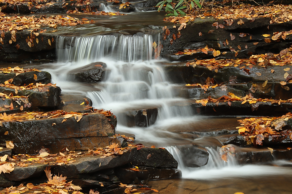 Layers of Fall