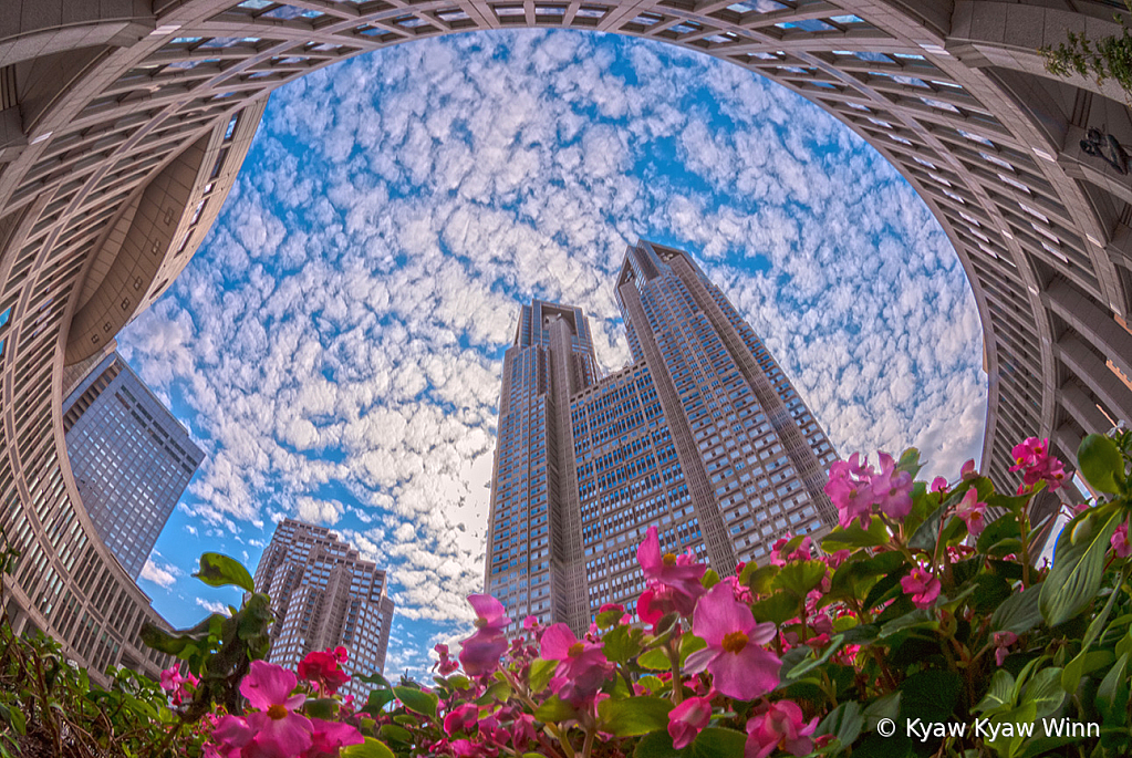 Building and Flower