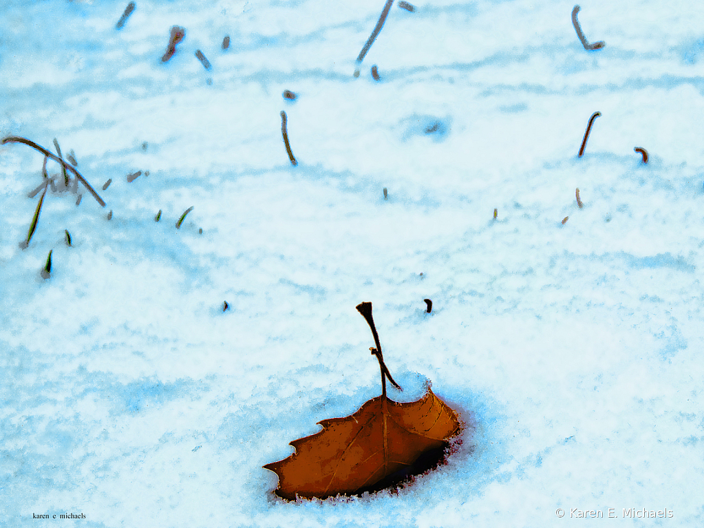 red leaf in snow - ID: 15955396 © Karen E. Michaels