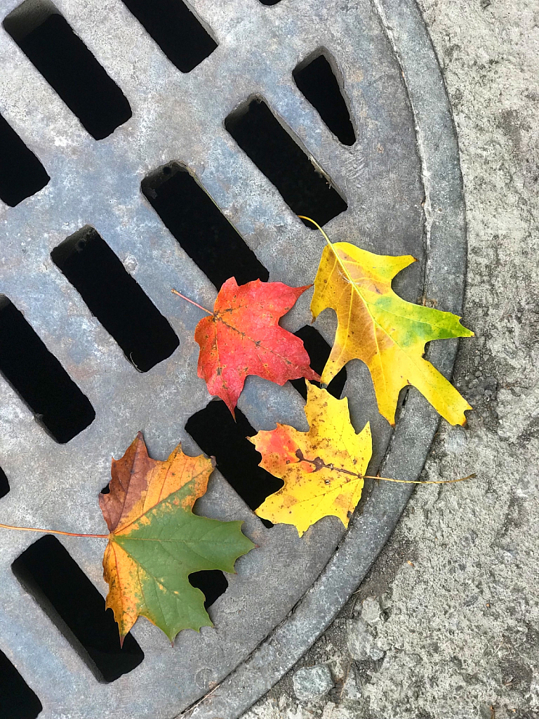 Fallen on grate