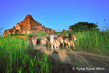 Only in Myanmar