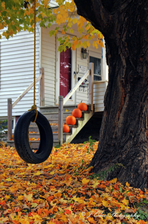 The Old Tire Swing