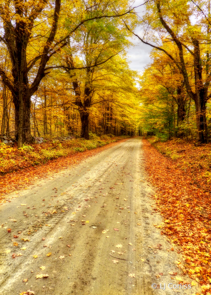 autumn lane