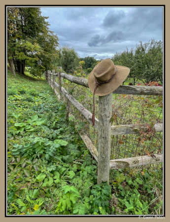 Vermont Farm