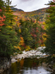 Fall in New Engla...