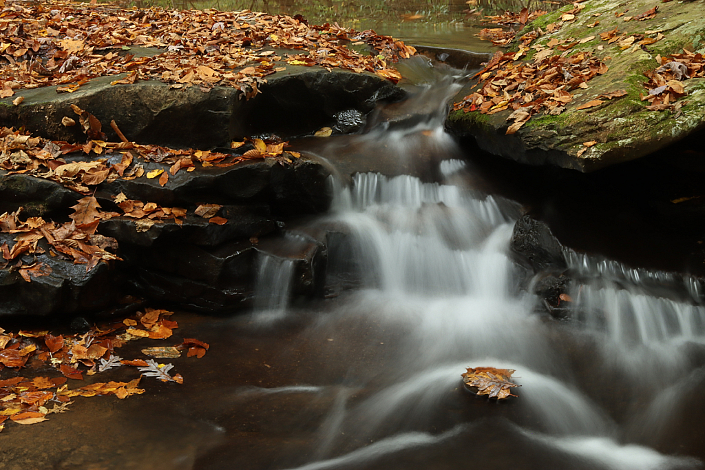 Fall Cascade