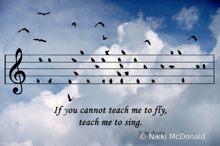 Teach Me to Fly, Teach Me to Sing