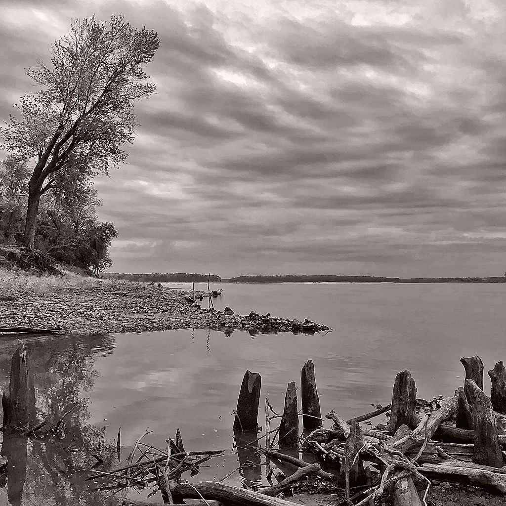 Mississippi River Shoreline - ID: 15955894 © Larry Lawhead