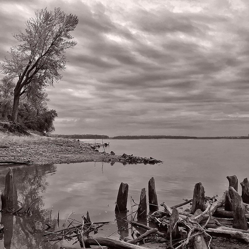 Mississippi River Shoreline