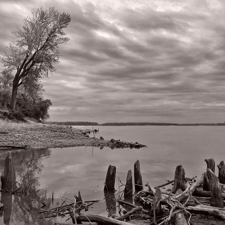 Mississippi River Shoreline