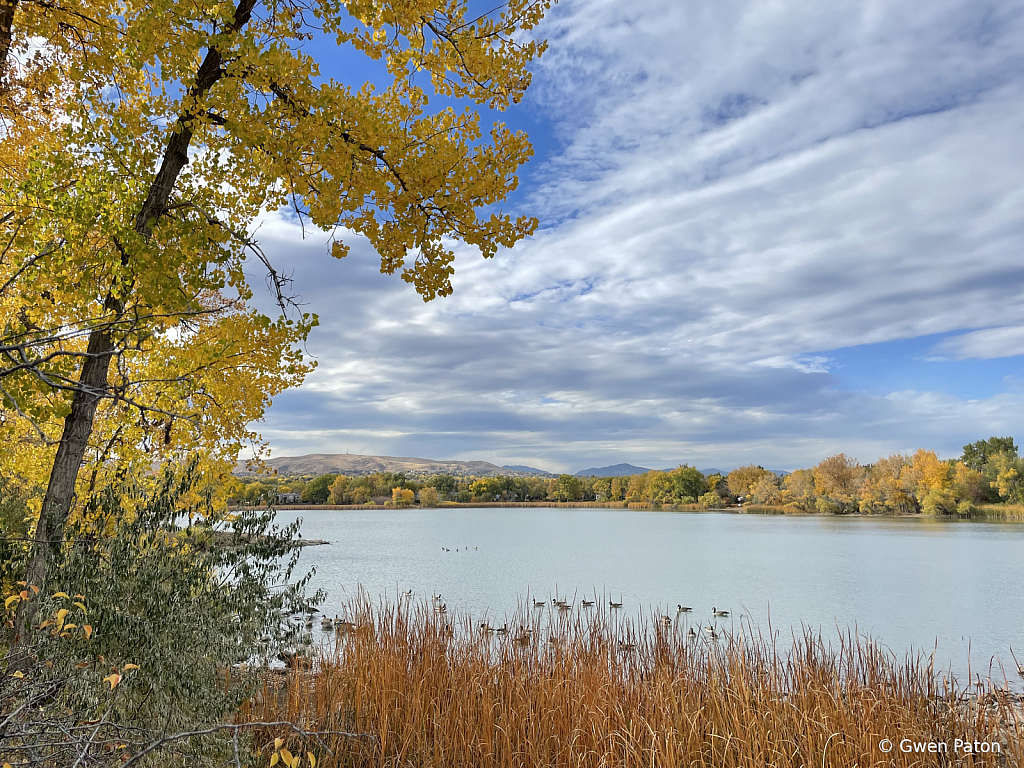 Autumn in Colorado